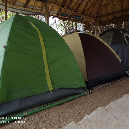 Drunken Monkey Camping Site Hotel Hampi Bagian luar foto