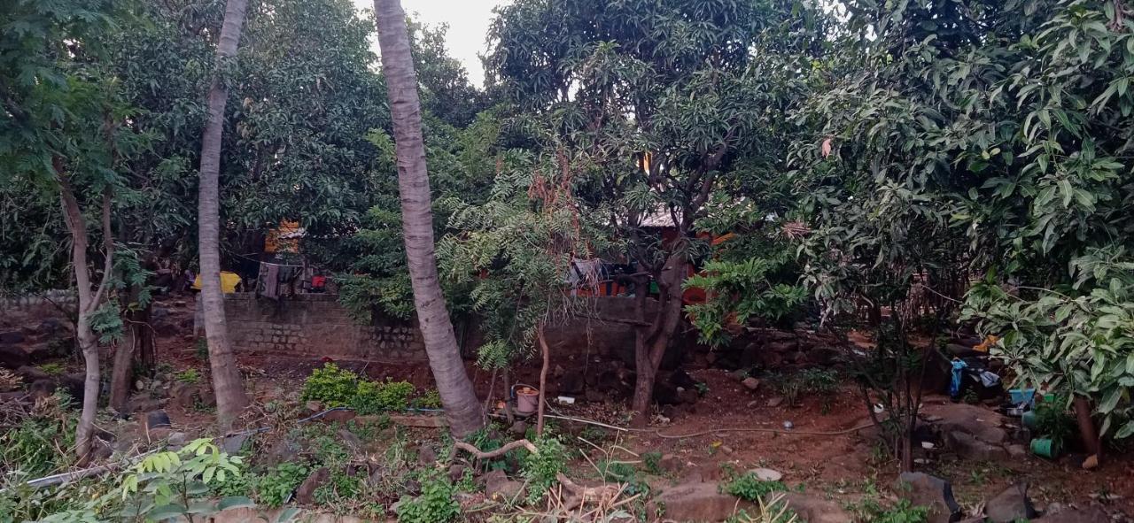 Drunken Monkey Camping Site Hotel Hampi Bagian luar foto